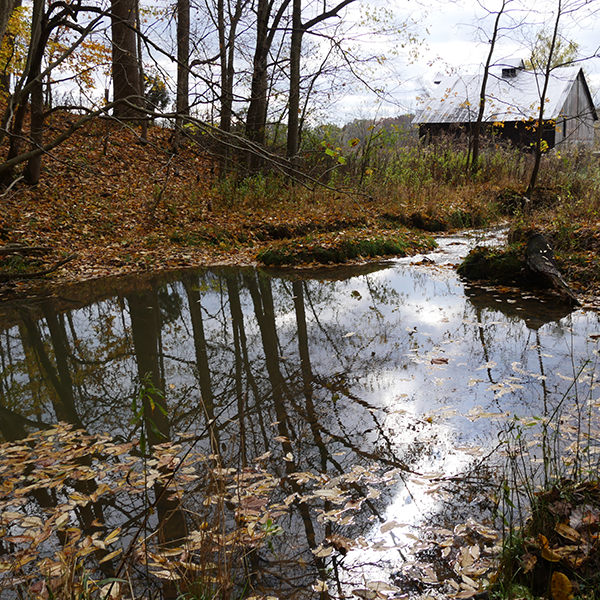 Big Spring Nature Preserve