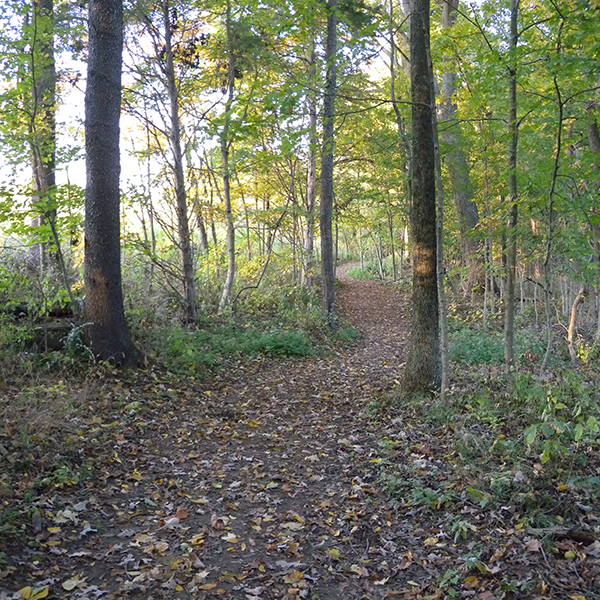 Veteran's Trail at Lake Salinda